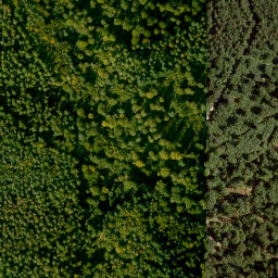 Satellite imagery of Mühlkopf, DE