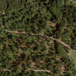 Satellite imagery of Mühlkopf, DE