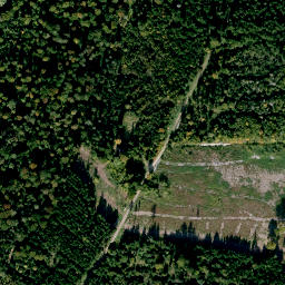 Satellite imagery of Hainfelsen, DE