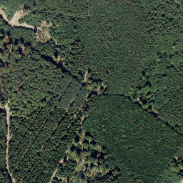 Satellite imagery of Bienenberg, DE