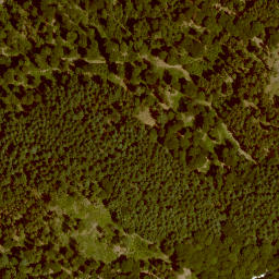 Satellite imagery of Jägerhorn, DE