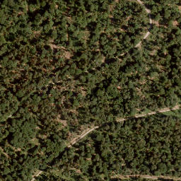 Satellite imagery of Mühlkopf, DE