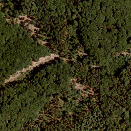 Satellite imagery of Steinernes Haus, DE