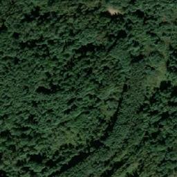 Satelita