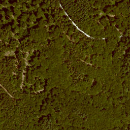Satellite imagery of Jägerhorn, DE