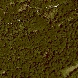 Satellite imagery of Jägerhorn, DE
