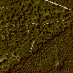 Satellite imagery of Jägerhorn, DE