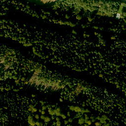 Satellite imagery of Falkenberg, DE