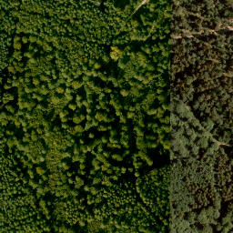 Satellite imagery of Gräfberg, DE