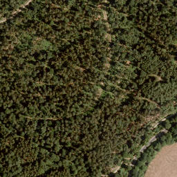 Satellite imagery of Mühlkopf, DE