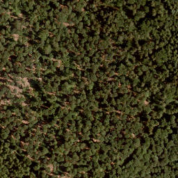 Satellite imagery of Schneidberg, DE