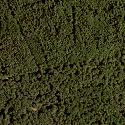 Satellite imagery of Schneidberg, DE