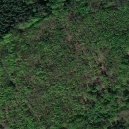 Satellite imagery of Ebertsberg, DE