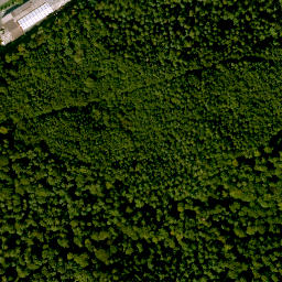 Satellite imagery of Bischlingsberg, DE