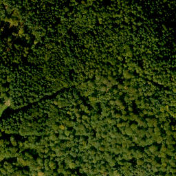 Satellite imagery of Falkenberg, DE