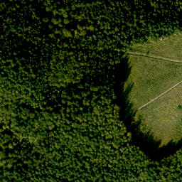 Satellite imagery of Falkenberg, DE