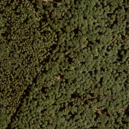 Satellite imagery of Schneidberg, DE