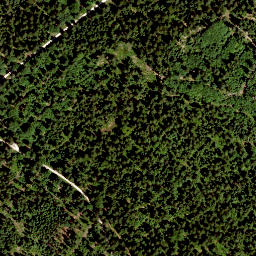 Satellite imagery of Platte (Schneeberg), DE