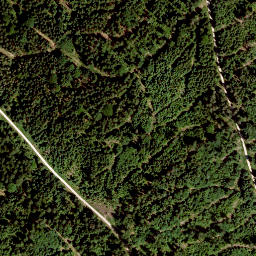 Satellite imagery of Platte (Schneeberg), DE
