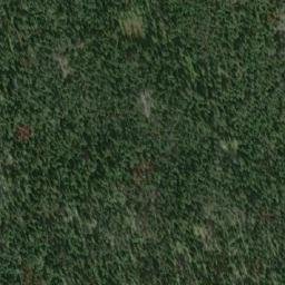 Satellite imagery of Mount Eileen, CA