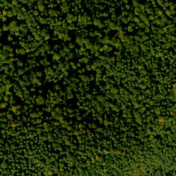 Satellite imagery of Bischlingsberg, DE