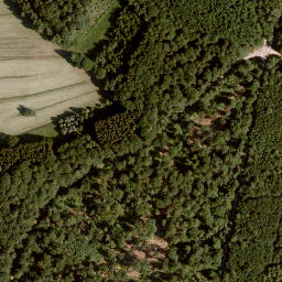 Satellite imagery of Schneidberg, DE