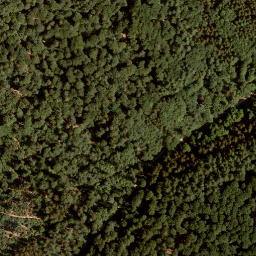 Satellite imagery of Schneidberg, DE