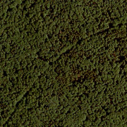 Satellite imagery of Pfirschhöhe, DE