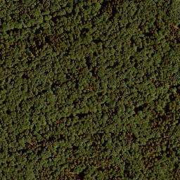 Satellite imagery of Pfirschhöhe, DE