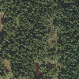 Satellite imagery of White Gold Pass, CA
