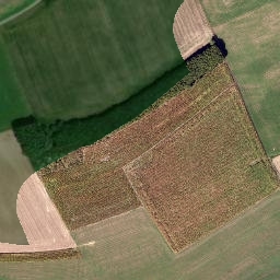 Satellite imagery of LB239, FR