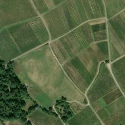 Satellite imagery of Schloß Vollrads, DE