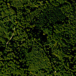 Satellite imagery of Grauenstein, DE