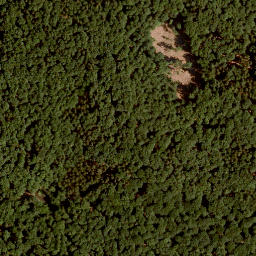 Satellite imagery of Pfirschhöhe, DE