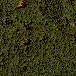 Satellite imagery of Pfirschhöhe, DE