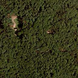 Satellite imagery of Pfirschhöhe, DE