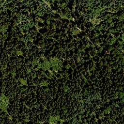 Satellite imagery of Platte (Schneeberg), DE