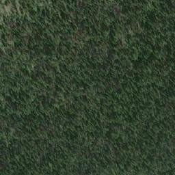 Satellite imagery of Mount Eileen, CA