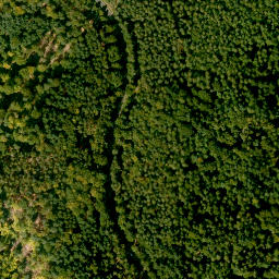 Satellite imagery of Schwarzkopf, DE