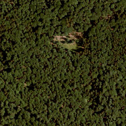 Satellite imagery of Pfirschhöhe, DE