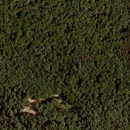 Satellite imagery of Pfirschhöhe, DE