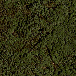 Satellite imagery of Pfirschhöhe, DE