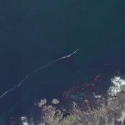 Satellite imagery of Trapp Bluff, CA