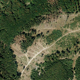 Satellite imagery of Franzosenkopf, DE