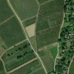 Satellite imagery of Schloß Vollrads, DE