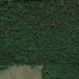 Satellite imagery of Langwellensender Mainflingen, Mast IX, DE