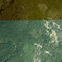 Satellite imagery of Reichenstein, DE