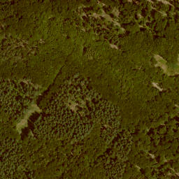 Satellite imagery of Hörkopf, DE