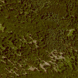 Satellite imagery of Hörkopf, DE