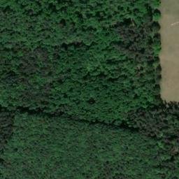 Satellite imagery of Langwellensender Mainflingen, Mast VIII, DE